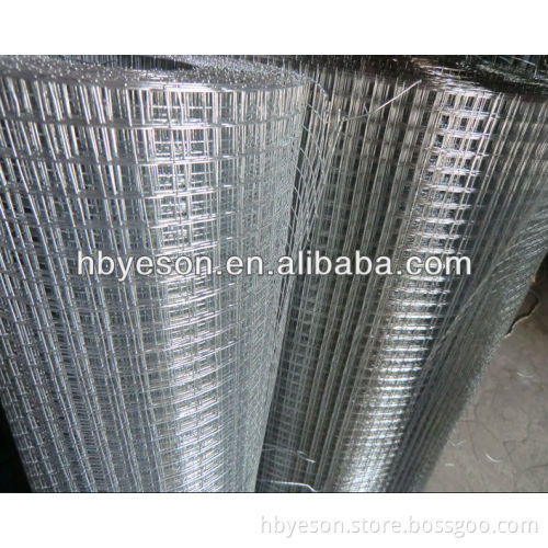 1/2" weld square mesh/welded wire mesh/galvanized wire mesh for pets cage